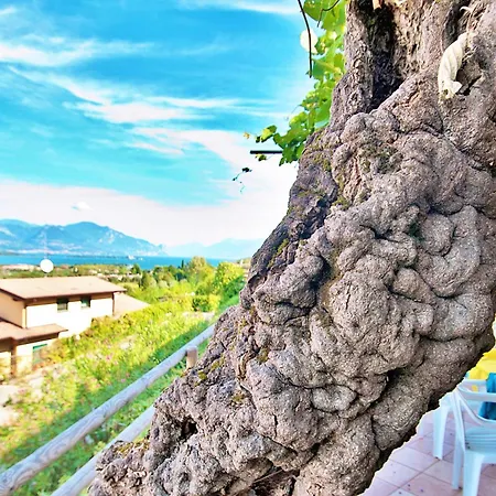 Bellavista Manerba del Garda